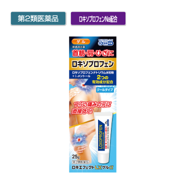 ◆ﾛｷｴﾌｪｸﾄLXｹﾞﾙα